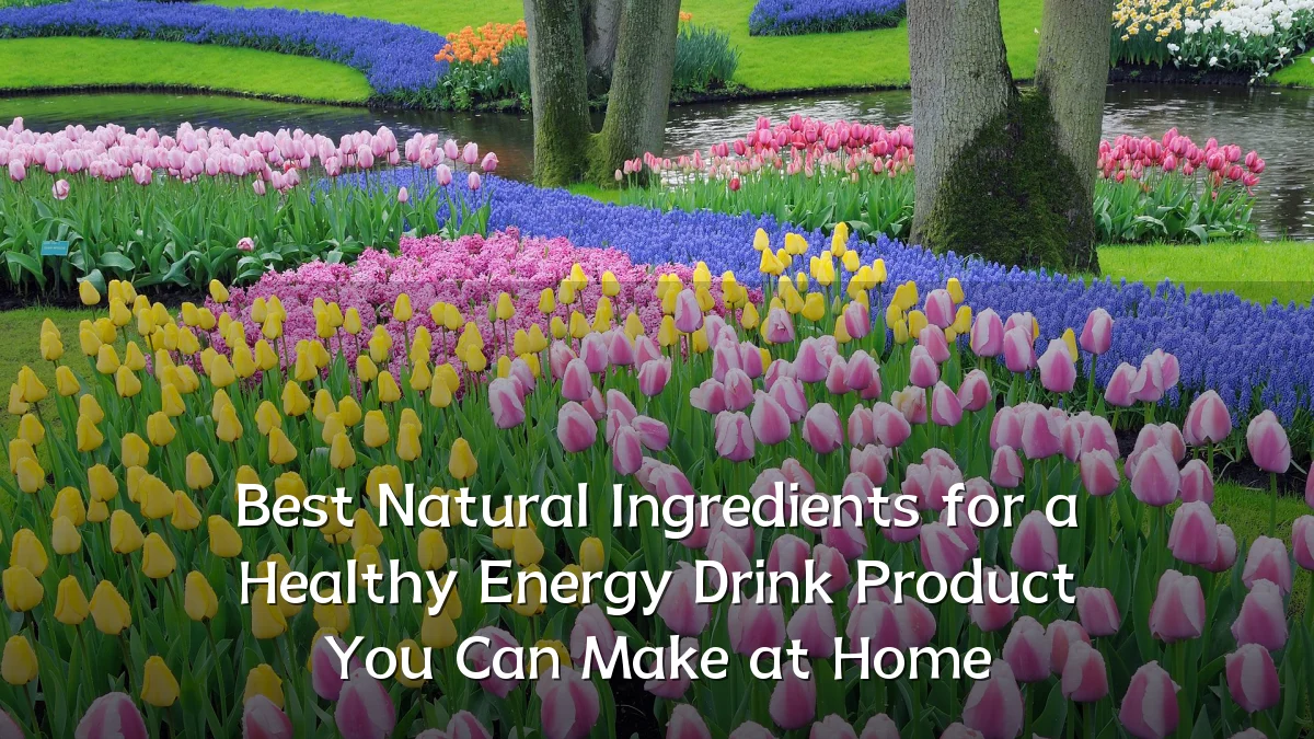 Best Natural Ingredients for a Healthy Energy Drink Product You Can Make at Home