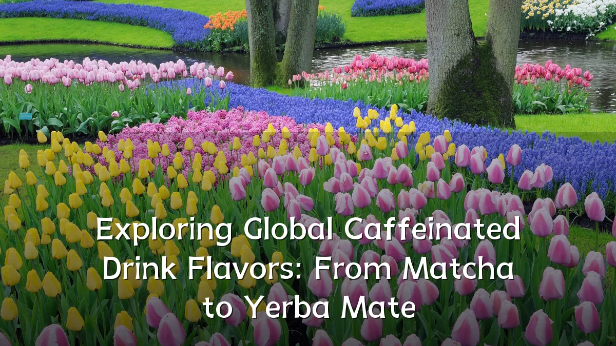 Exploring Global Caffeinated Drink Flavors: From Matcha to Yerba Mate