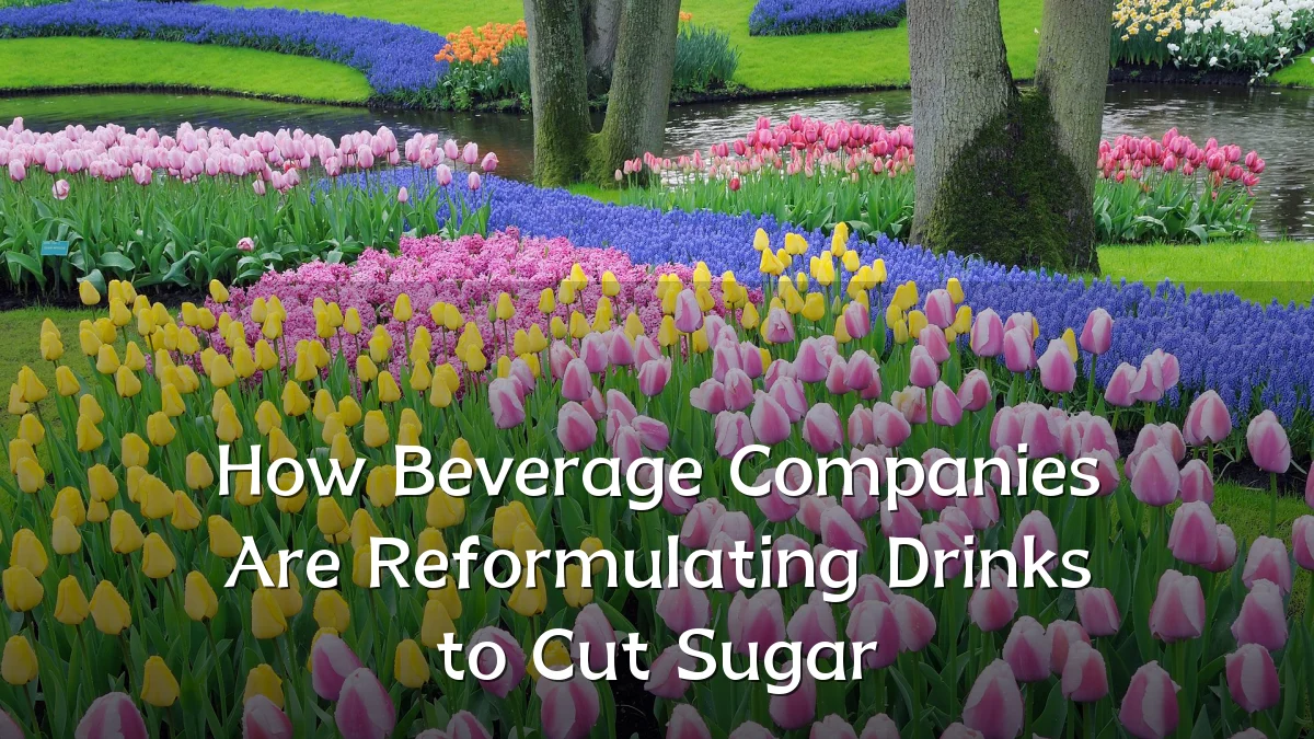 How Beverage Companies Are Reformulating Drinks to Cut Sugar