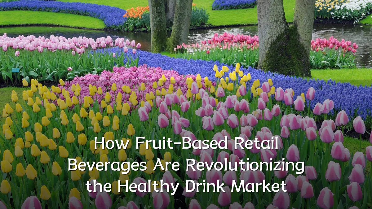 How Fruit-Based Retail Beverages Are Revolutionizing the Healthy Drink Market