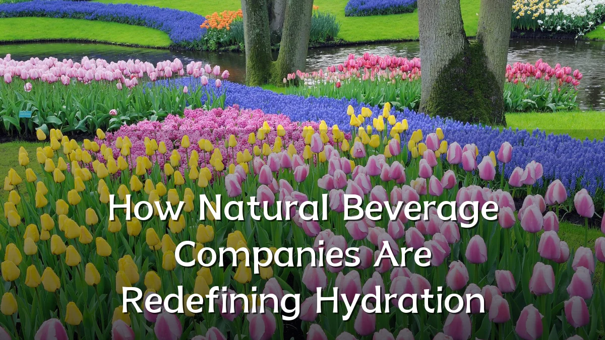 How Natural Beverage Companies Are Redefining Hydration