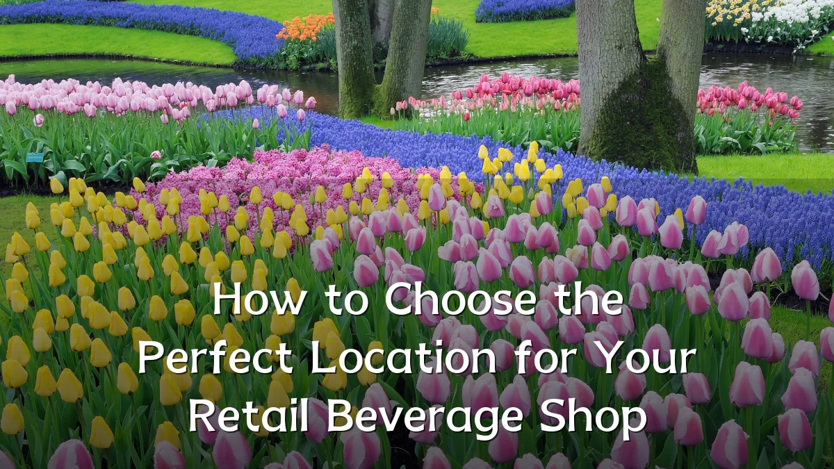 How to Choose the Perfect Location for Your Retail Beverage Shop