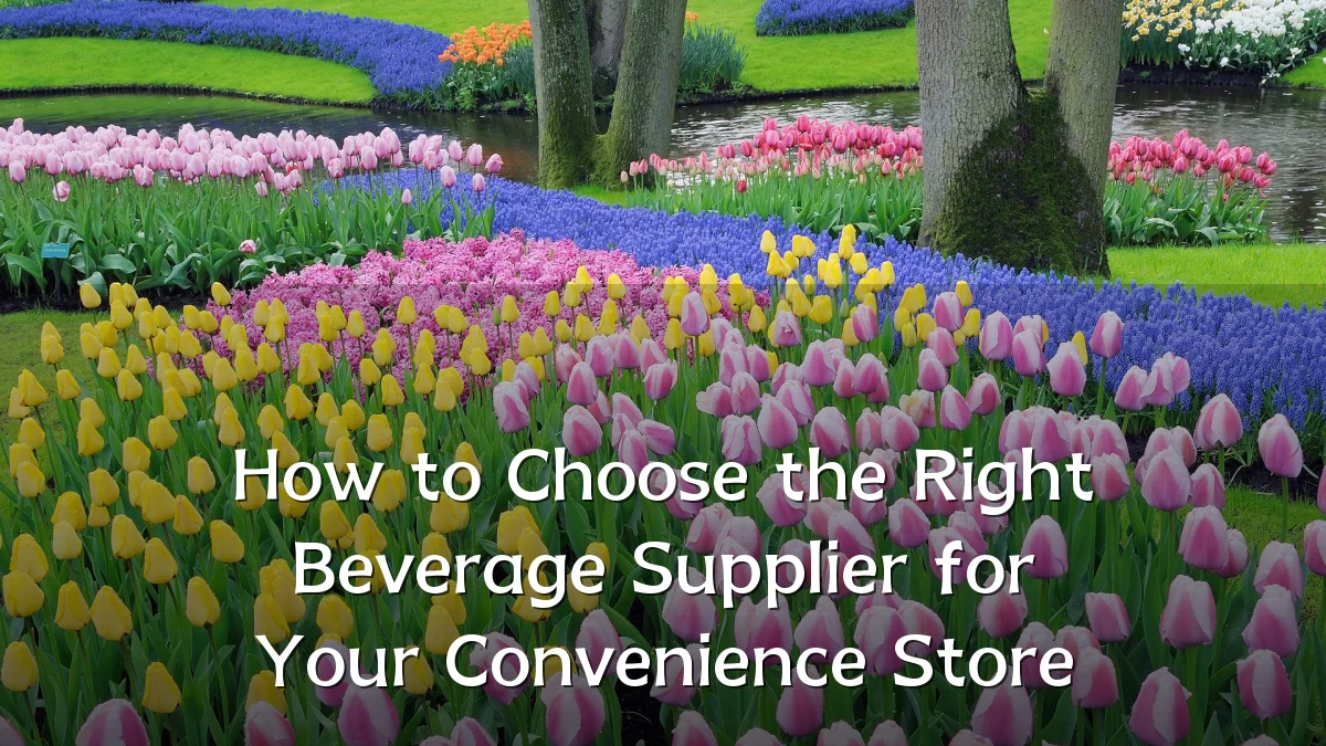 How to Choose the Right Beverage Supplier for Your Convenience Store
