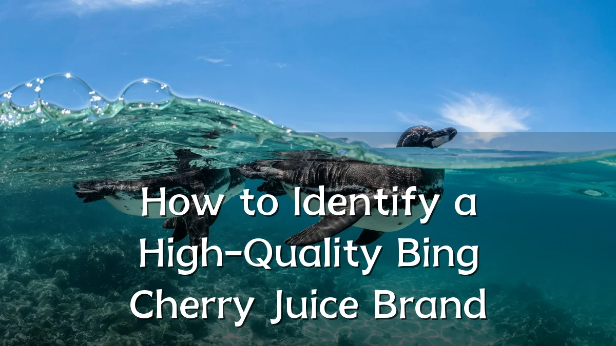 How to Identify a High-Quality Bing Cherry Juice Brand