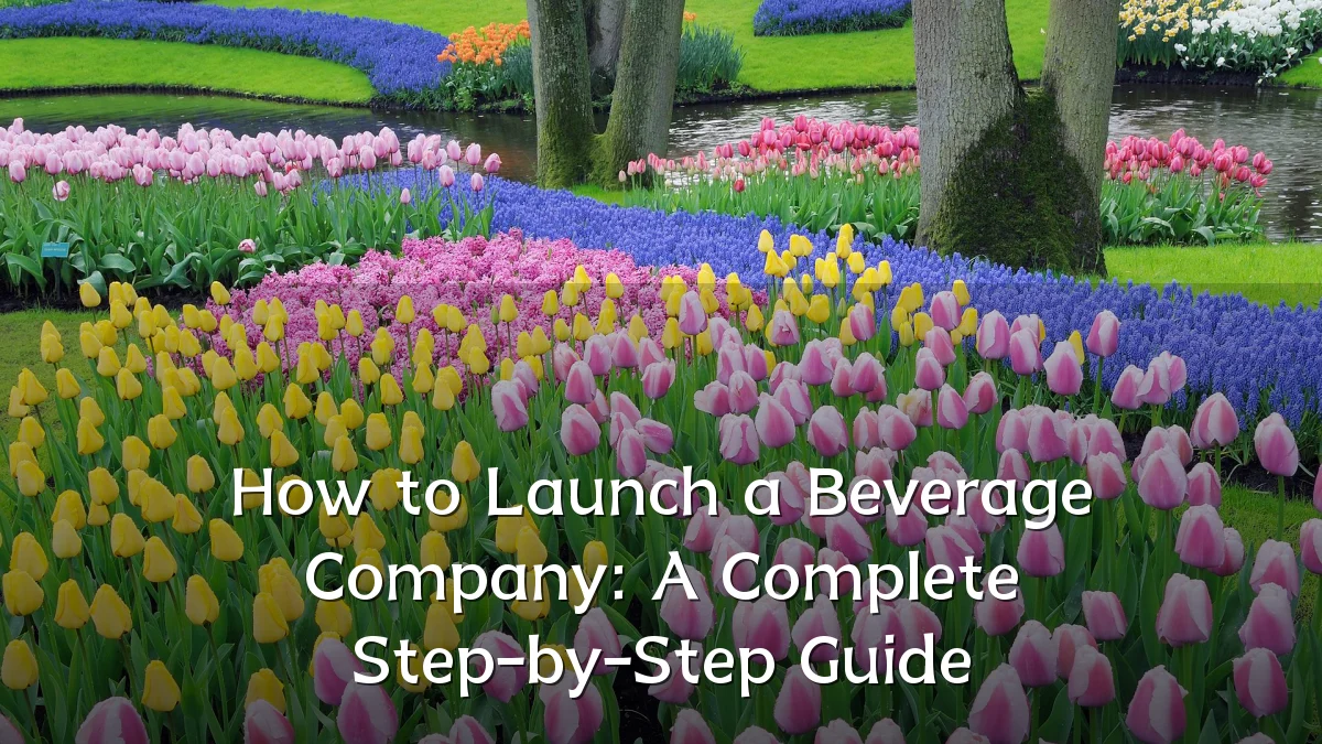 How to Launch a Beverage Company: A Complete Step-by-Step Guide