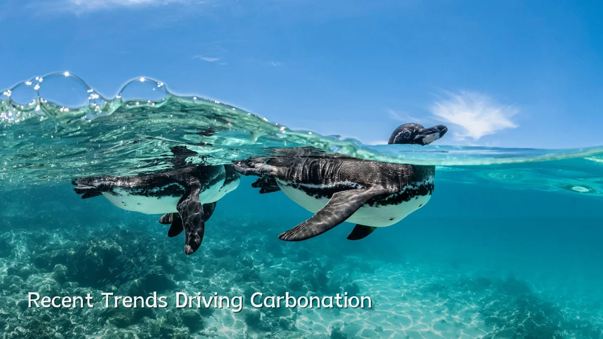 Recent Trends Driving Carbonation