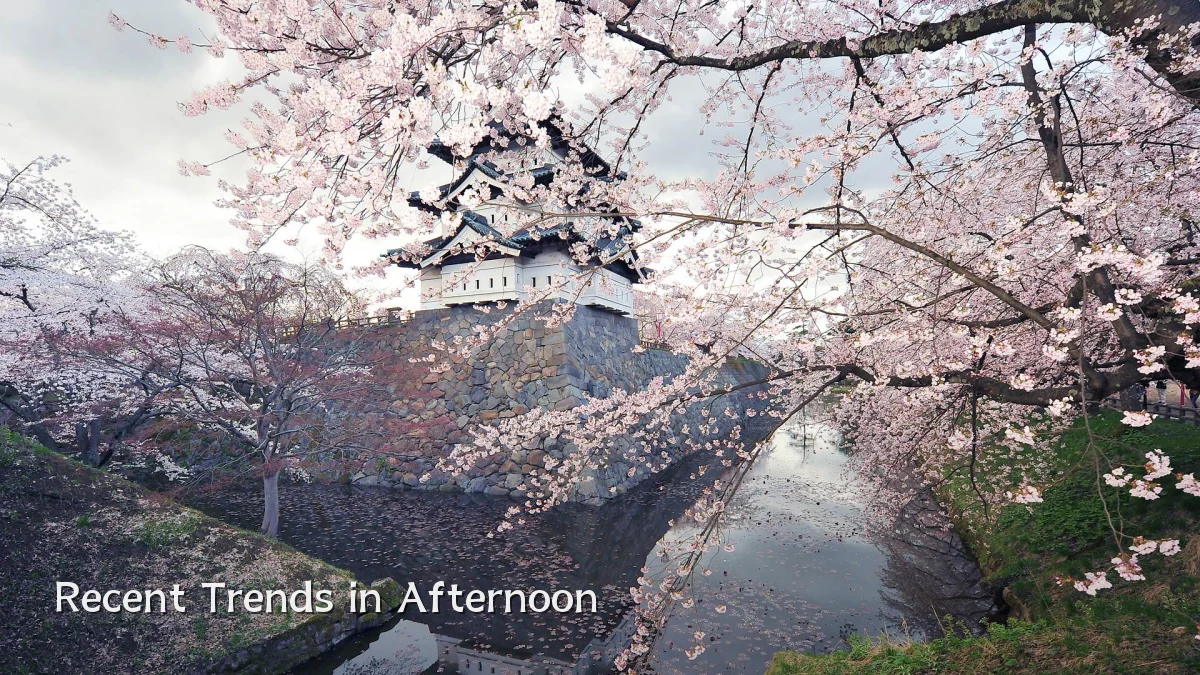 Recent Trends in Afternoon