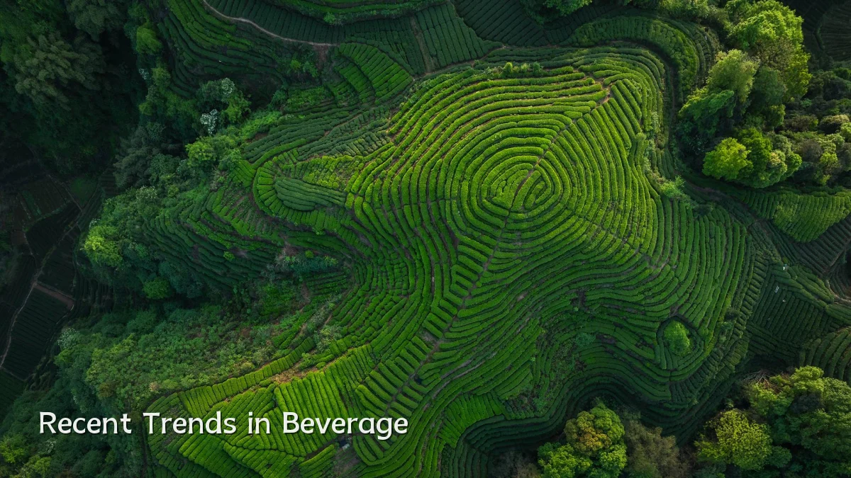 Recent Trends in Beverage