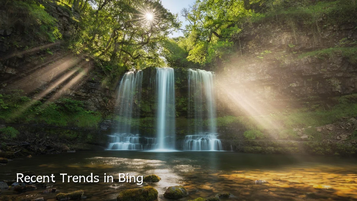 Recent Trends in Bing