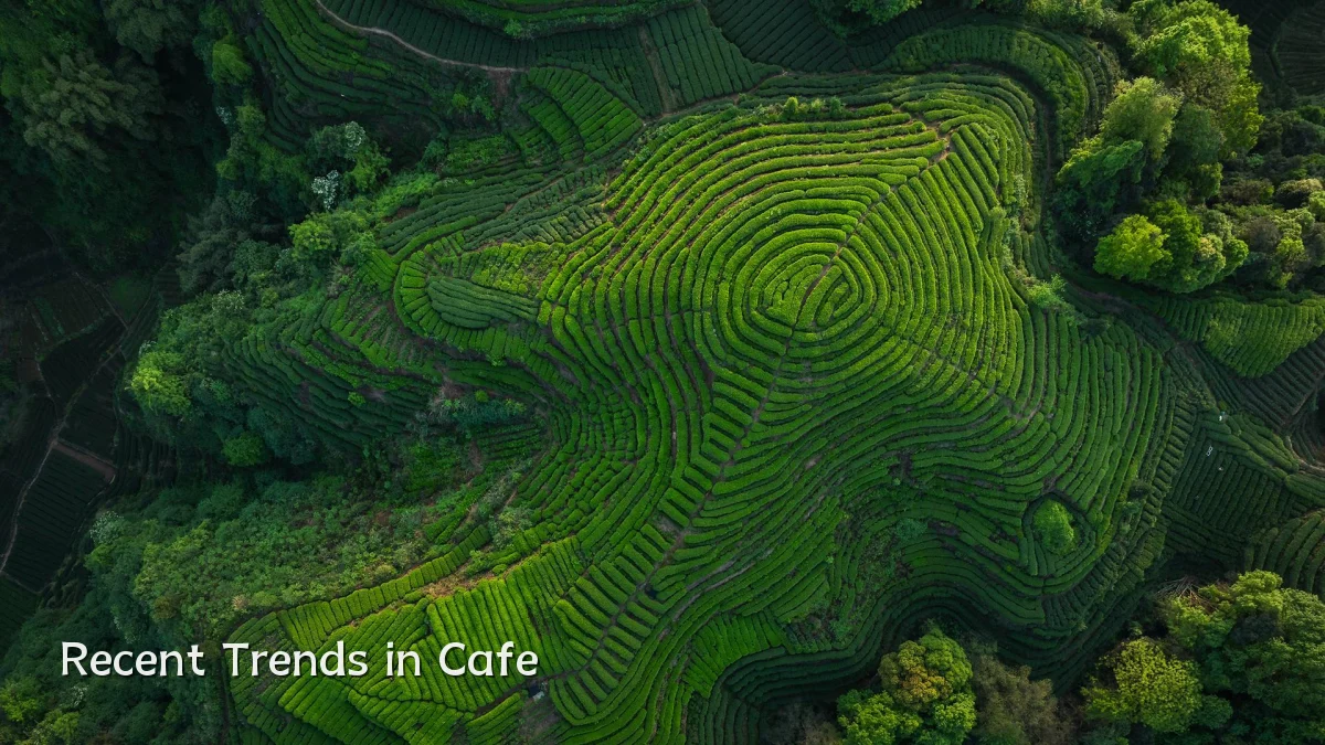 Recent Trends in Cafe