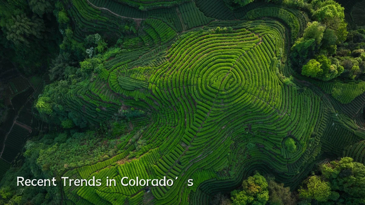 Recent Trends in Colorado’s
