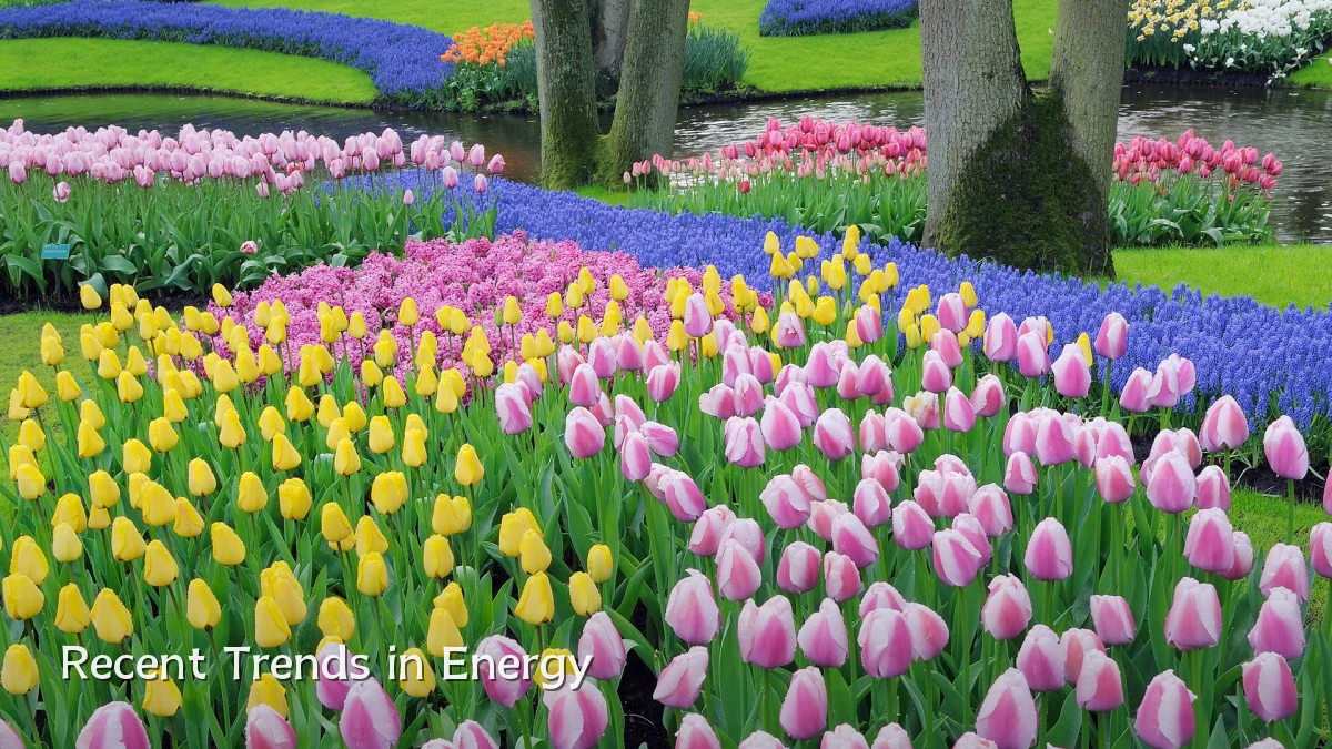 Recent Trends in Energy