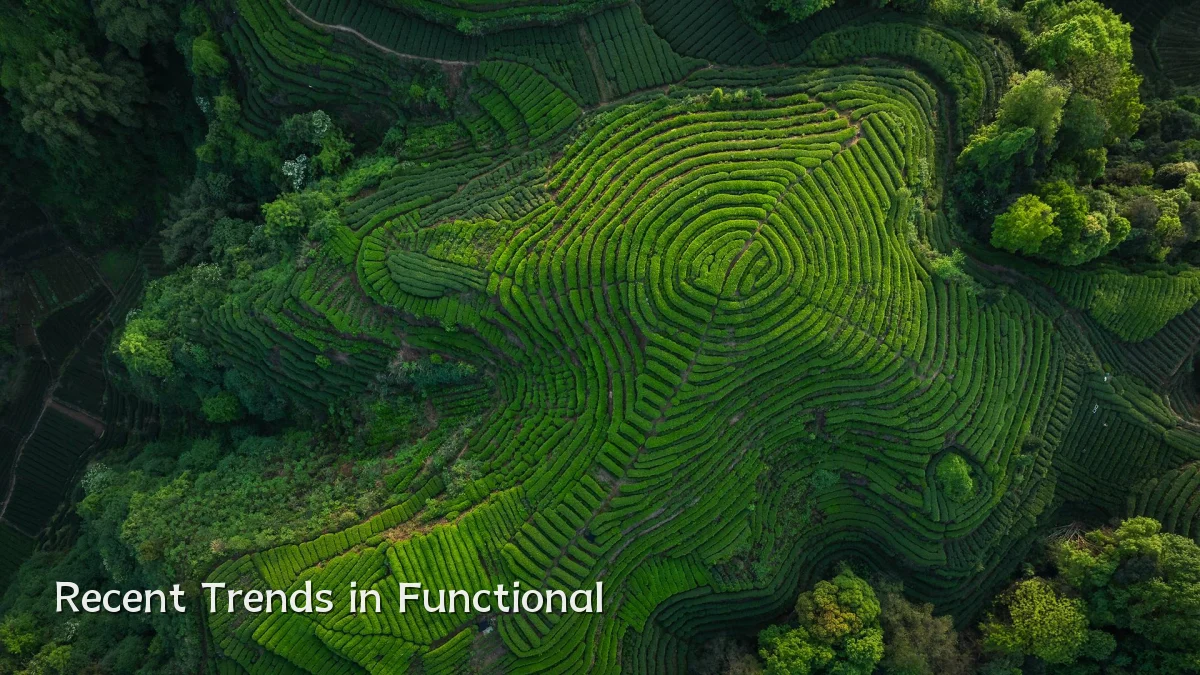 Recent Trends in Functional