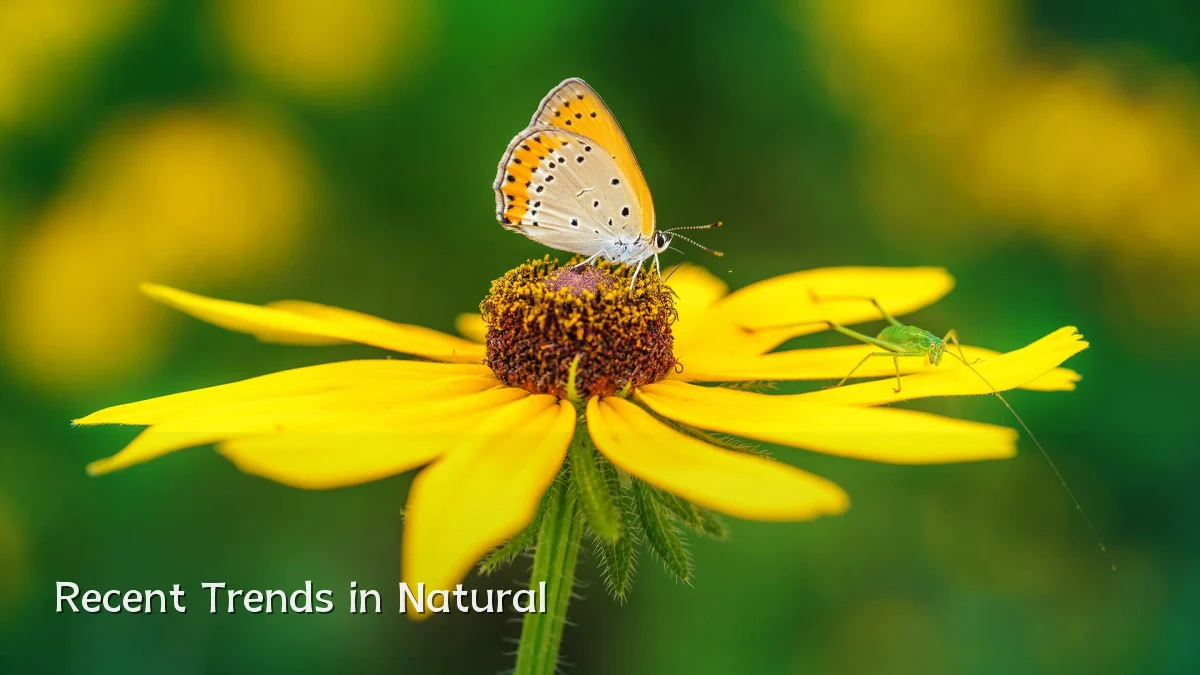 Recent Trends in Natural