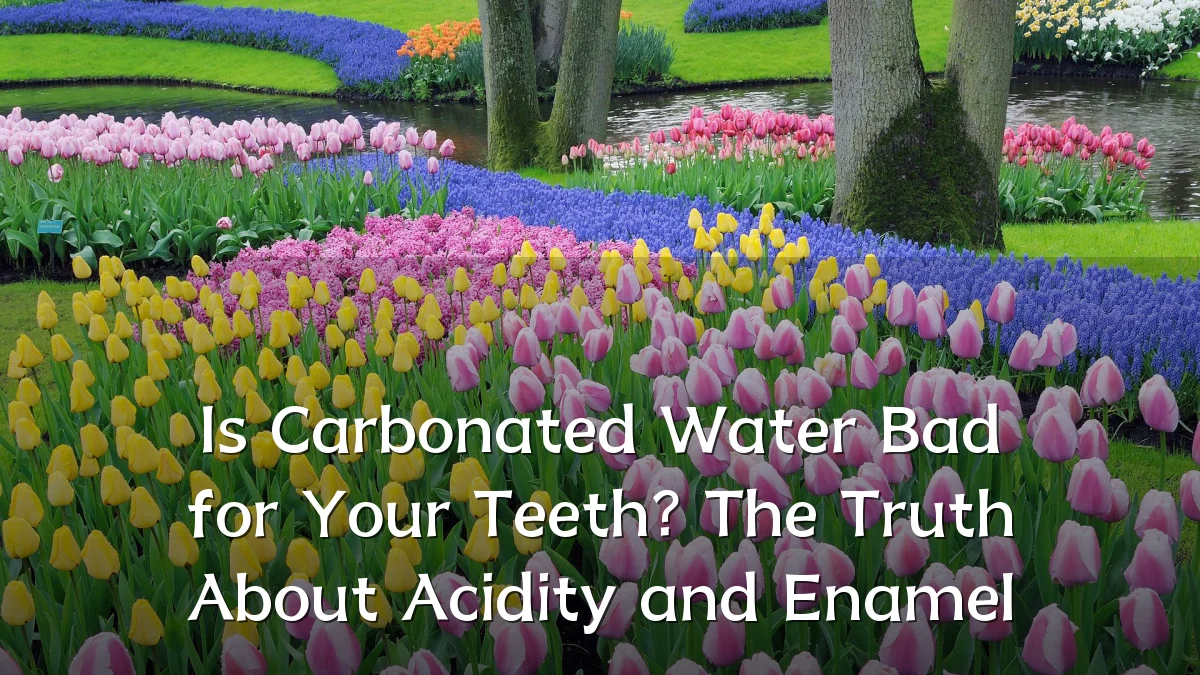 Is Carbonated Water Bad for Your Teeth? The Truth About Acidity and Enamel