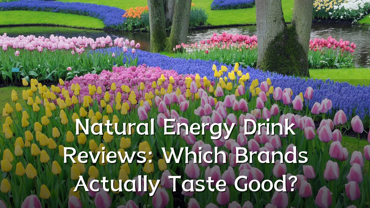 Natural Energy Drink Reviews: Which Brands Actually Taste Good?