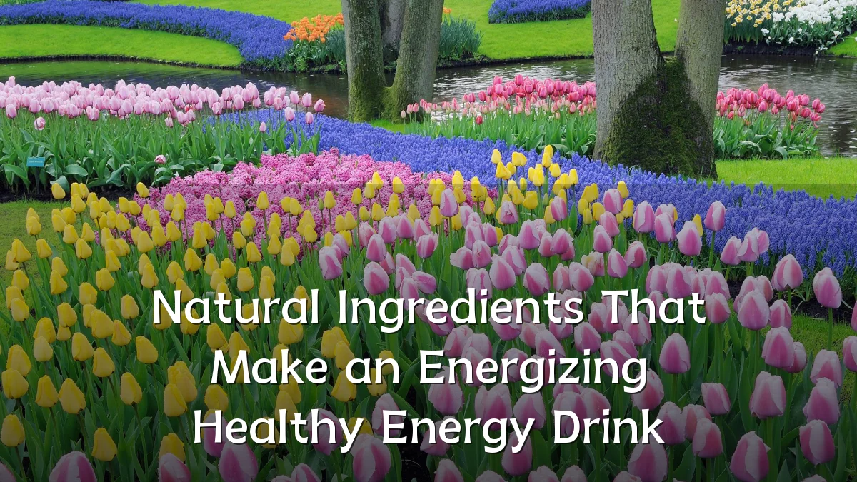 Natural Ingredients That Make an Energizing Healthy Energy Drink