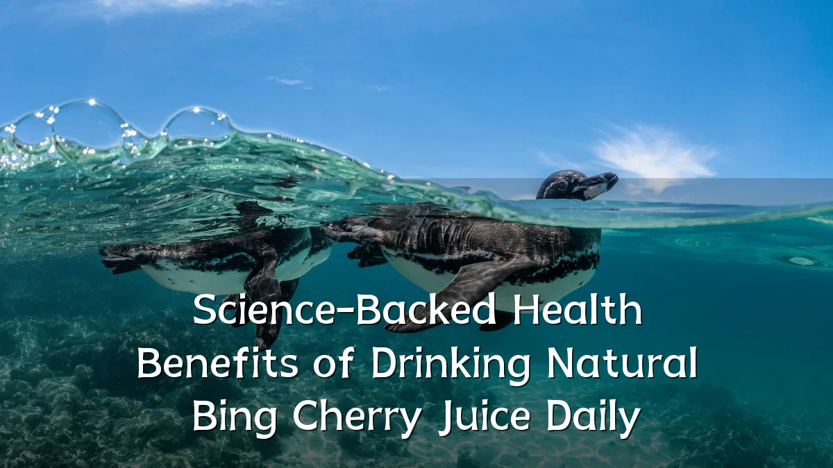 Science-Backed Health Benefits of Drinking Natural Bing Cherry Juice Daily