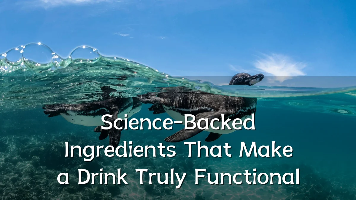 Science-Backed Ingredients That Make a Drink Truly Functional
