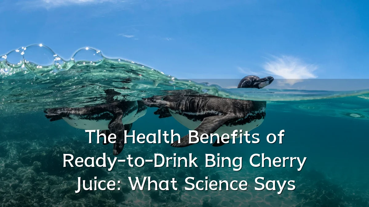 The Health Benefits of Ready-to-Drink Bing Cherry Juice: What Science Says