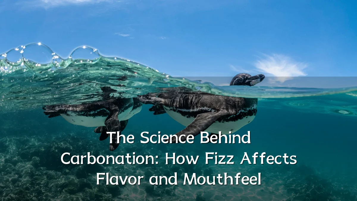 The Science Behind Carbonation: How Fizz Affects Flavor and Mouthfeel
