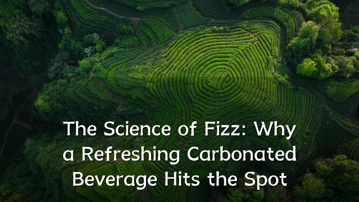 The Science of Fizz: Why a Refreshing Carbonated Beverage Hits the Spot