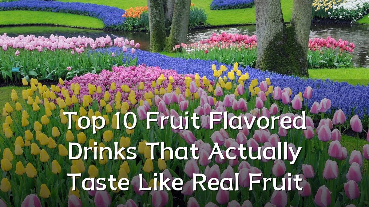 Top 10 Fruit Flavored Drinks That Actually Taste Like Real Fruit