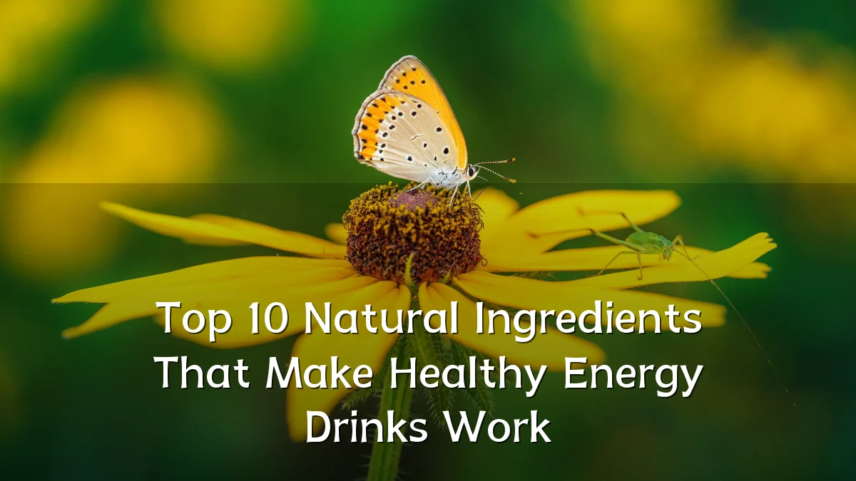Top 10 Natural Ingredients That Make Healthy Energy Drinks Work