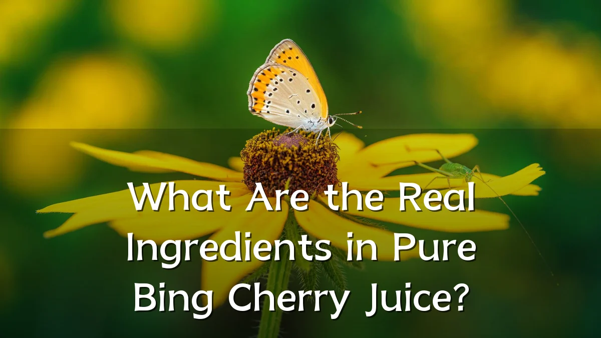 What Are the Real Ingredients in Pure Bing Cherry Juice?