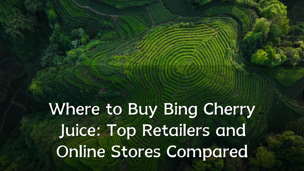 Where to Buy Bing Cherry Juice: Top Retailers and Online Stores Compared