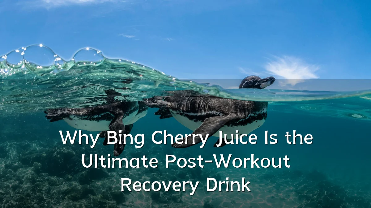 Why Bing Cherry Juice Is the Ultimate Post-Workout Recovery Drink