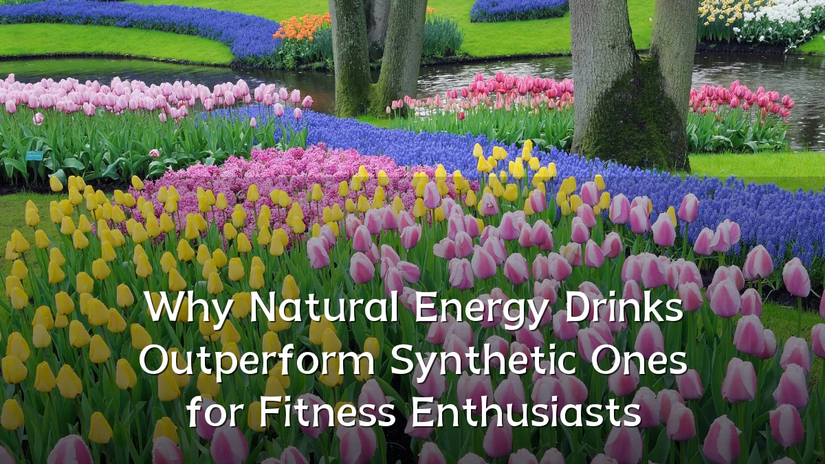 Why Natural Energy Drinks Outperform Synthetic Ones for Fitness Enthusiasts