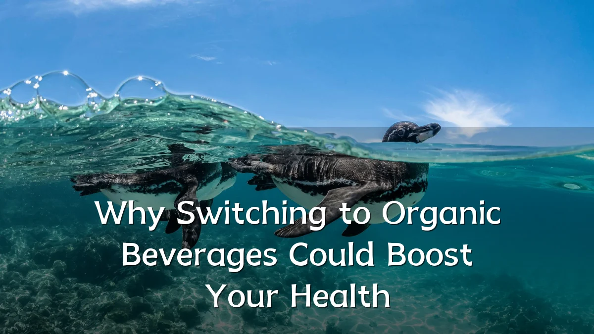 Why Switching to Organic Beverages Could Boost Your Health
