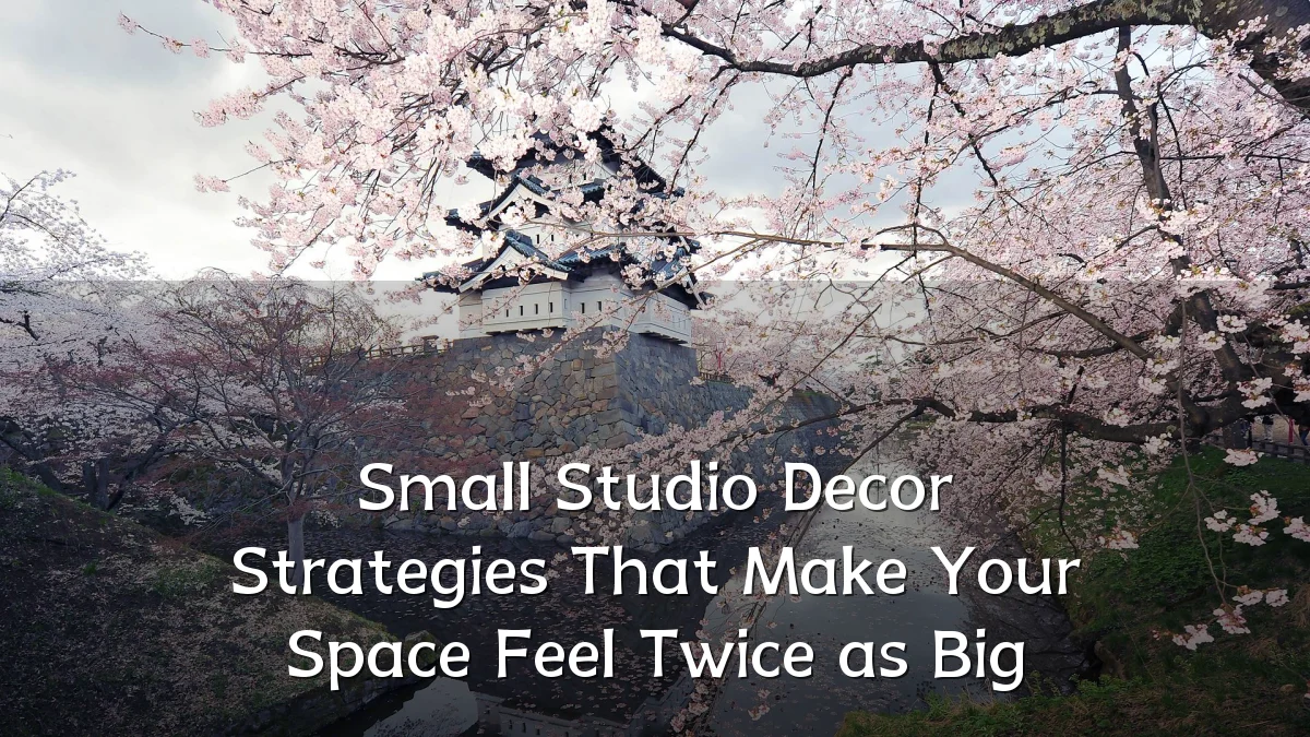Small Studio Decor Strategies That Make Your Space Feel Twice as Big